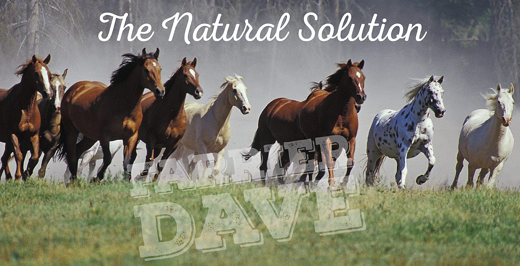 The Natural Solution - Farrier Dave